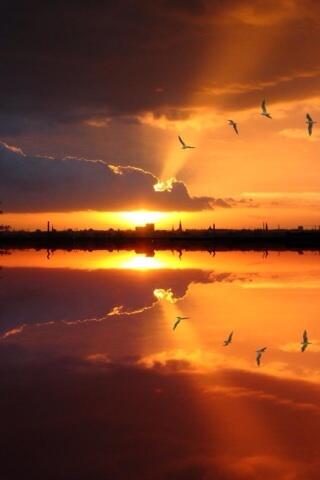 ff78ff's tweet image. 