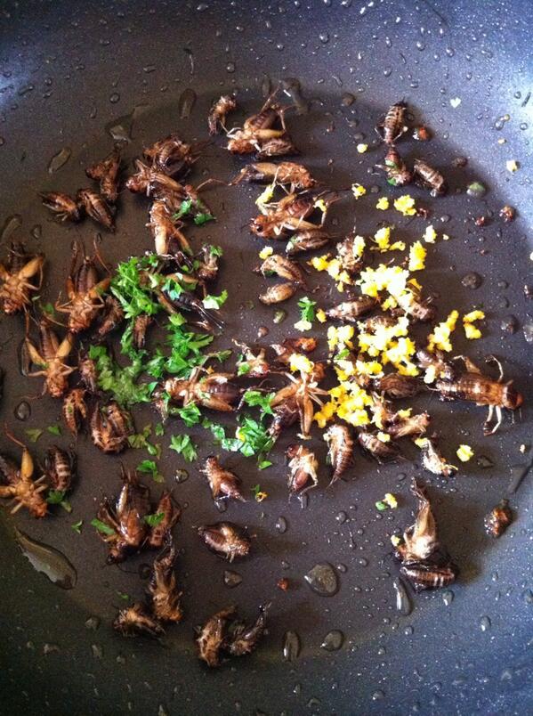 SallyAnn_Spence's tweet photo. Adding chopped parsley &amp; lemon zest to the frying crickets now -it smells fantastic!  #entomophagy http://t.co/j4fDmt6XcA