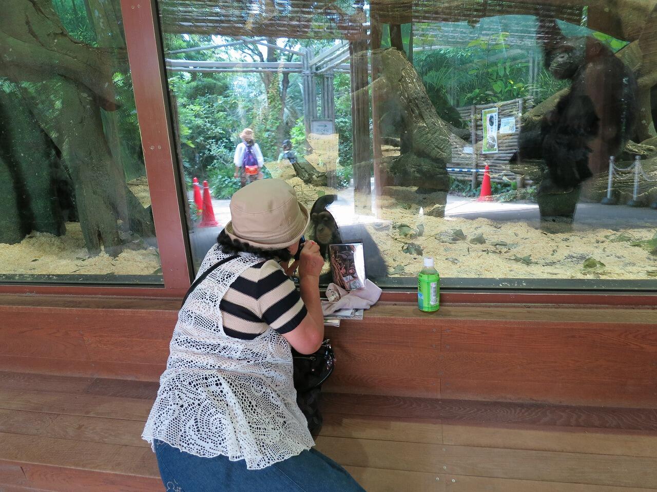 Koichi Murata まれに動物と話のできる人がいます ソロモン王であったり ドリトル先生であったり とても羨ましいです 動物が好きなのに嫌われてしまう動物園獣医師としては ﾉ Http T Co Gaygh6mnyg Twitter