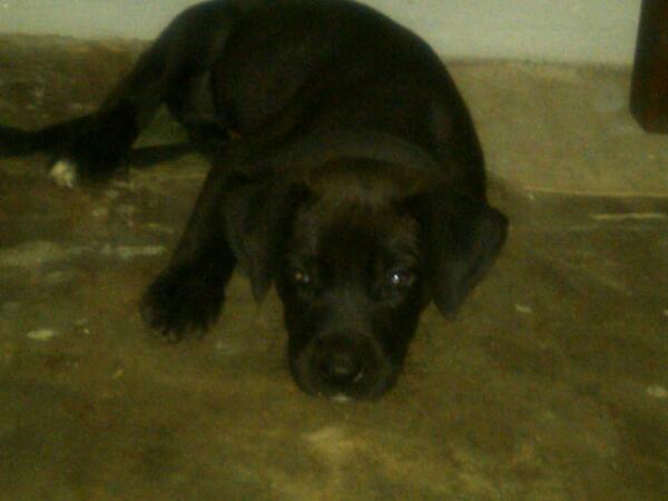 ogbedhere's tweet image. 