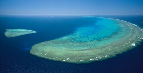 SaveBarrierReef's tweet photo. One Million+ reasons to Save The Great Barrier Reef #SaveTheGreatBarrierReef #SaveTheReef #Cairns #Beach #Queensland http://t.co/fARJYdjAmE