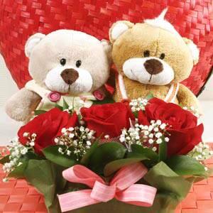 pandey_chesty's tweet photo. Good night sleep tight people love u all but luv harry the most swt drms tc http://t.co/FbdLYCK3LB