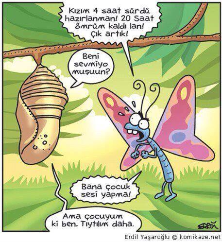 TIYTILIM DAHA BEN :)))