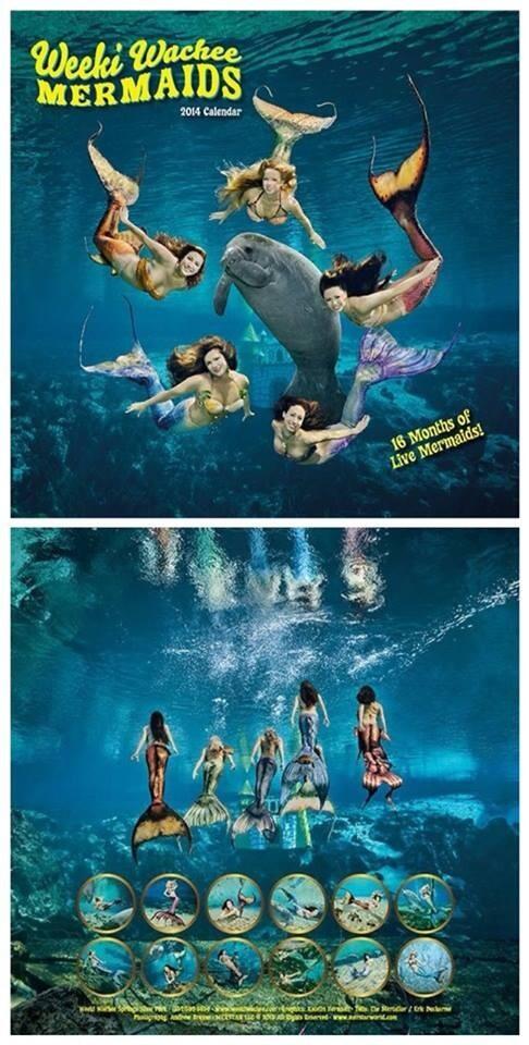 Weeki Wachee Mermaid tweet media