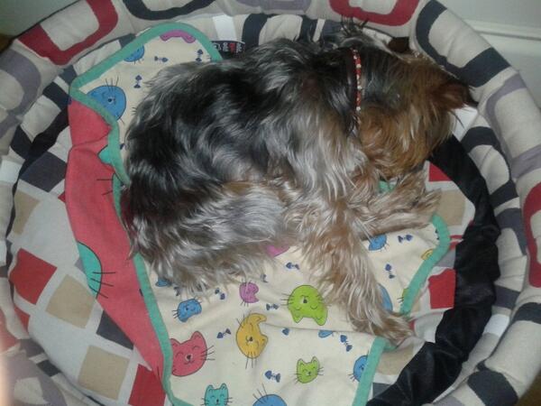 este si..... vamos q os voy a contar....