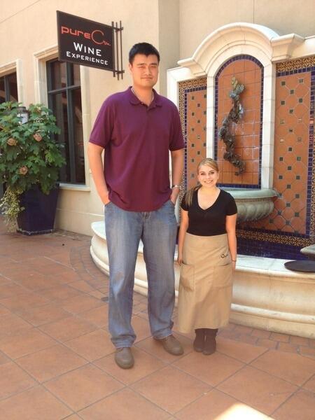 SCNotTopTen's tweet photo. Yao Ming can make anyone look like an Oompa Loompa http://t.co/meeKvJiDJS