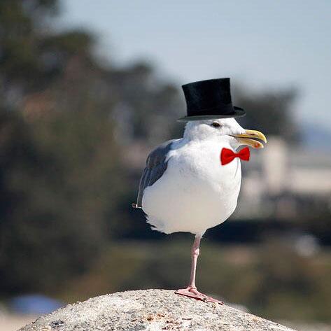 About to head over to the ball. How do I look?