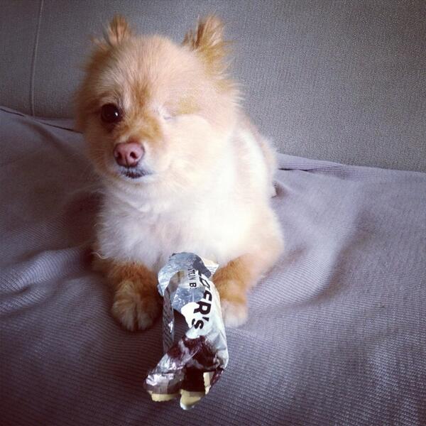 Massimo Alpian tweet media