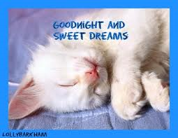 jackiesuz12's tweet photo. Ok Time for Beddy Byes Goodnight Sweet Dreams http://t.co/qzXMAhIPy7