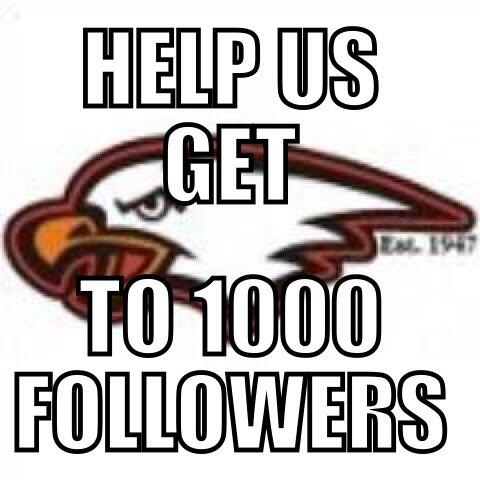 Innisfail Eagles tweet media