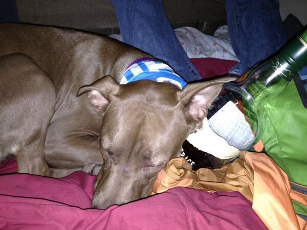 It's raining, what else would we do?