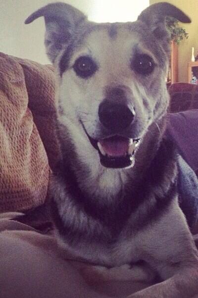 And be sure to give your furry friends an extra hug. You'll be missed Kiko (better known as Keely around the store)
