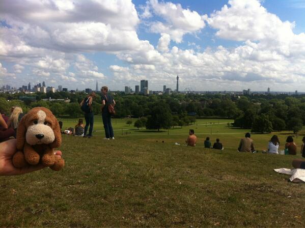 Bailey chilling on Primrose hill #baileyontour