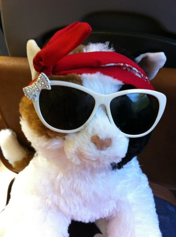 I appoint Sally-cat as one's representative in my absence! Mieow!