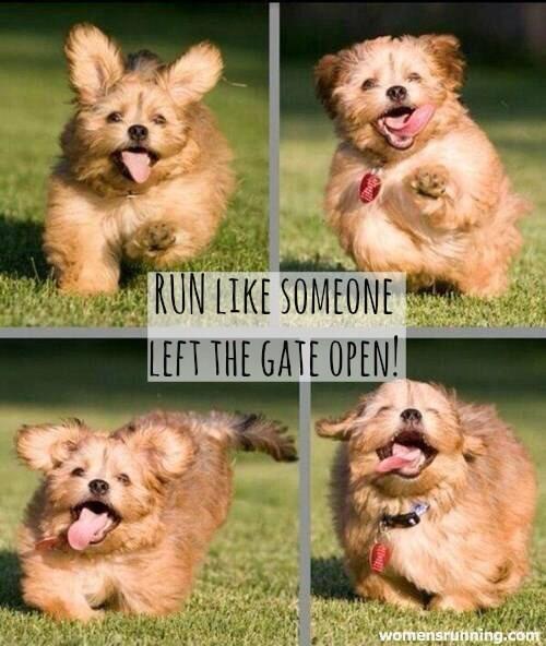 women s running on twitter run like someone left the gate open