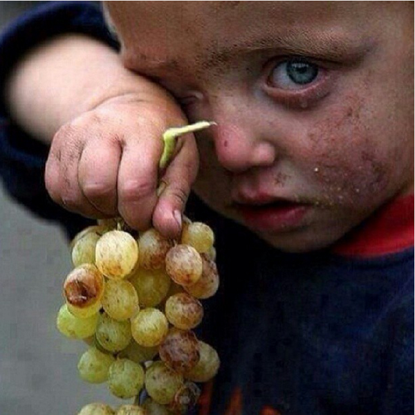 ABO79FAHD tweet picture