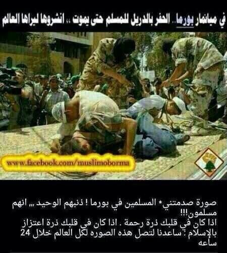 في #بورما .. الحفر بالدريل للمسلم حتى يموت.. لا حول ولا قوة إلا بالله.. اللهم انصرهم على من عاداهم #انشروها