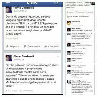viviLaGatta tweet picture