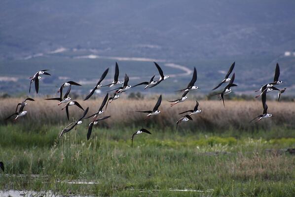 Castelló en fotos tweet media