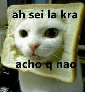 louistjoon's tweet photo. ´´acredite, seu fc é o preferido de alguém´´ http://t.co/c5ibOlY7qq