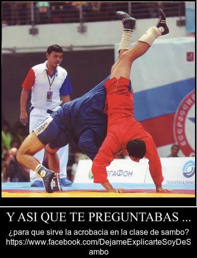 SAMBO ECUADOR (@SAMBOECUADOR) / Posts / X