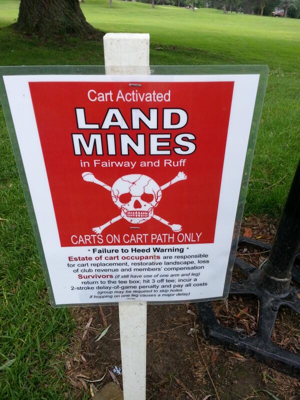 Cowieosis tweet media