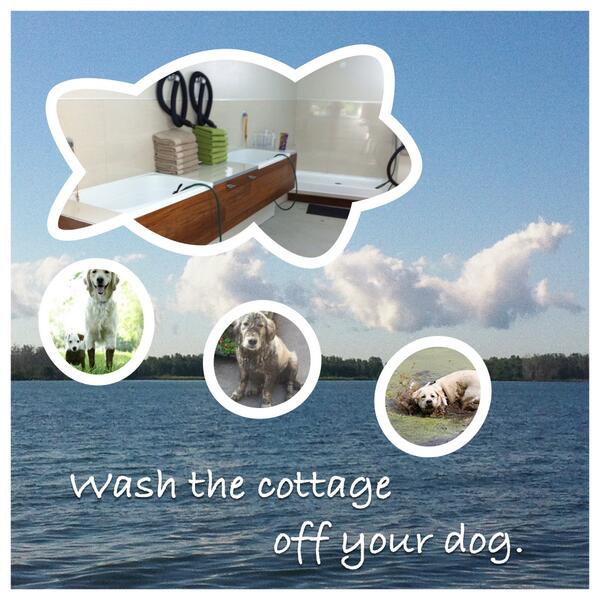 MukiMutt's tweet photo. We are half way through cottage country season 😧 http://t.co/UBe7o3jJal