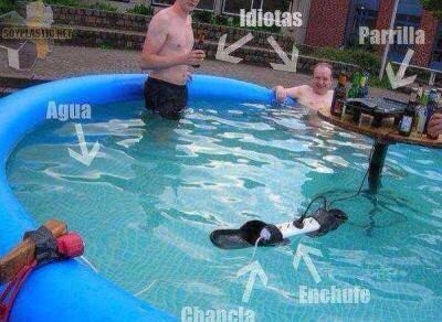 daza_MBand's tweet photo. Nivel de estupidez 10/10. http://t.co/Y6g85Q558A