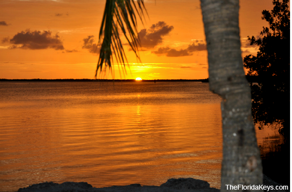 Florida Keys, you have outdone yourself.  Gorgeous weekend!