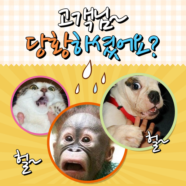 plusmobile_'s tweet image. [댓글 EVENT] 고객님~ 마이 당황하셨어요~?  
★ 내 생애 가장 멘붕의 순간은?? '댓글' + 'RT' 하기(~7/31)
☆ "이럴때 이런음악" S석 초대권, 2명 추첨(1인2매) ☆ 8/1 당첨자발표