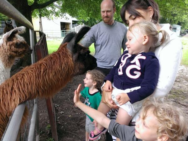 Kids loved meeting alpacas and llamas at friends' farm