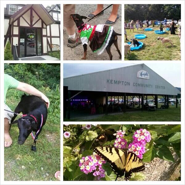 HSBCTammy's tweet photo. 2 beautiful events to help homeless animals! Thanks all.@ASRanimals @PetfinderPro @ActuallyNPH @shelterpets @Petco http://t.co/AMJJZvFpqe