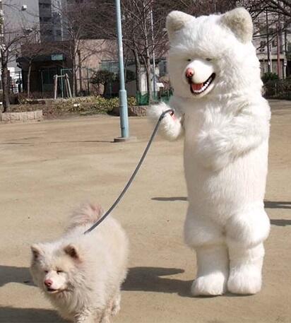 LabradorConan's tweet image. Who says the world doesn't have a bright future?