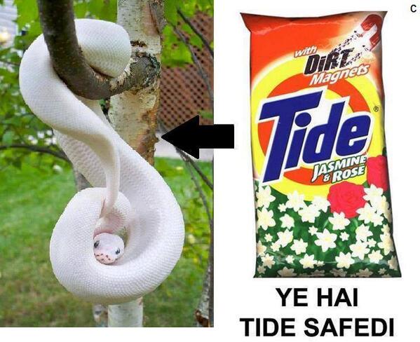 Kuizr's tweet photo. Yeh hai #tide ki safedi http://t.co/SA1xULoV2w