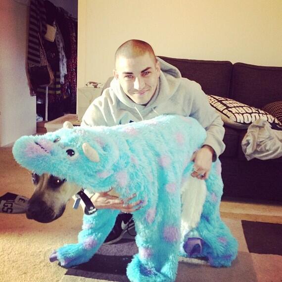 blissneso's tweet image. Frank the tank rocking his onesie.