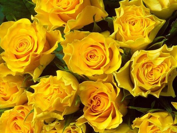 _umpi's tweet photo. http://t.co/g5z9JpjLK7
