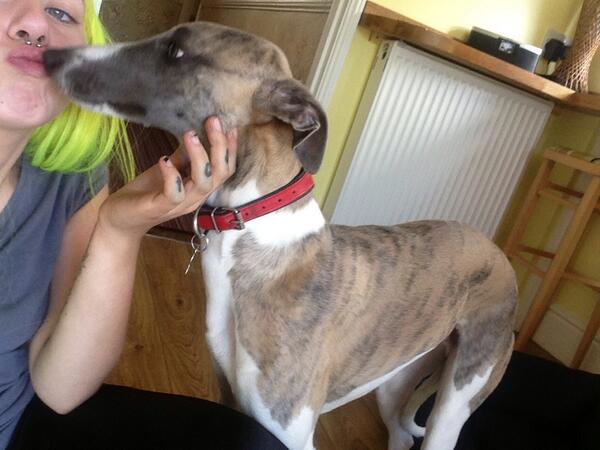 cuthbertwhippet's tweet image. kisses with my mummy!!