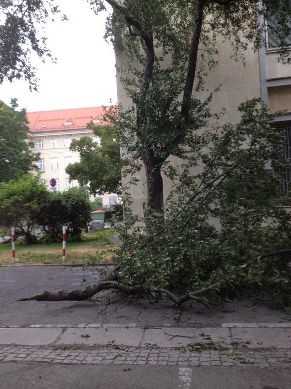 walthern's tweet photo. #storm in #graz http://t.co/ZvuSHCMFvq