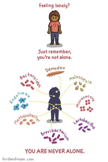 BHBioTech's tweet image. We'll never be lonely again. We'll want to shower more though.