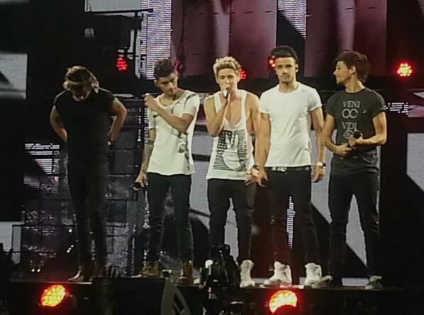 Bezpośredni odnośnik do obrazka