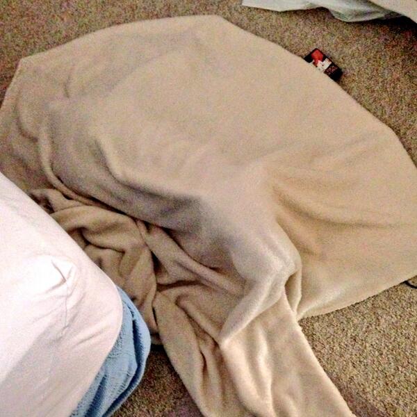 SmokeyProbs's tweet photo. Just napping under this blanket. Major #SmokeyProbs. http://t.co/rMVU0wPIzQ
