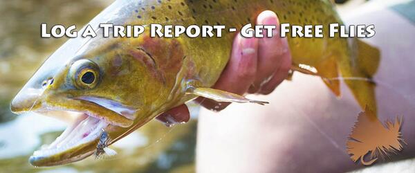 CatchandHatch's tweet photo. How Was Fishing This Weekend?  Log a Fly Fishing Report and Win Free Flies - http://t.co/VnZjV94KMa http://t.co/wa7nCXSja1