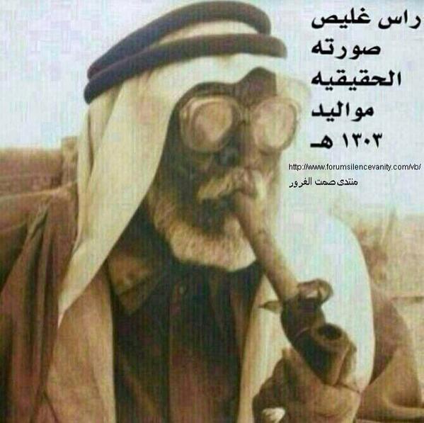 صافن on Twitter: 