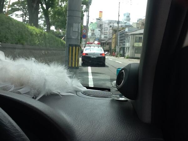 tomozo0720's tweet photo. 甲突川沿いで車の中でまったりしたら職質された！！車の中みられた！他人名義のカードとかありませんか？と財布の中も！！ http://t.co/13NYLiGfVF