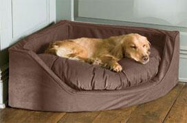 furenamala's tweet photo. buy Big Dog Beds at affordable price.... http://t.co/vQiG8XpO28