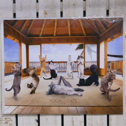 QueueNet's tweet image. queue-net.com/11_88.html
可愛い、シュール。これ、可愛い！

【ミニポスター】　Yoga Cat Hut