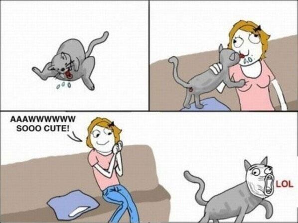 funnypics2299's tweet photo. http://t.co/3LQlvG8fIz