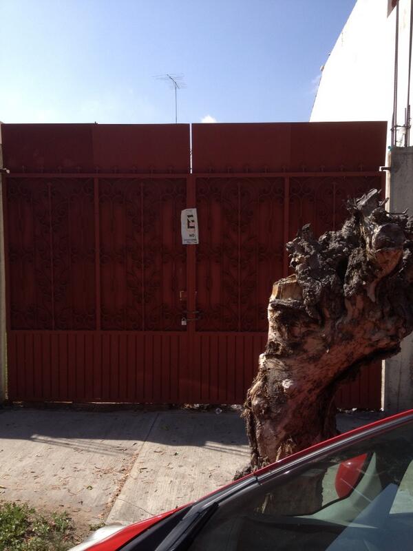 javis_slp's tweet photo. Jaja no estacionarse y yo digo por donde entra un auto si el árbol lo impide http://t.co/sETX91LoAf