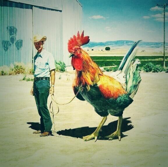 Walk in the club like what's up I got a big cock