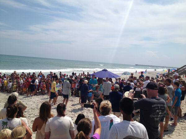 Awesome #seaturtle release at #topsail! <a href="/Topsail_Turtles/">Sea Turtle Hospital</a> <a href="/SurfCityTourism/">Town of Surf City</a> #ilm #tortugasmarinas